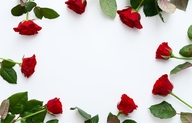 Zdjęcie czerwone róże ramki na białym tle, kopia przestrzeń.