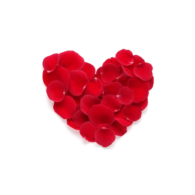 Czerwone serce z płatków róż. Walentynki lub romantyczna koncepcja