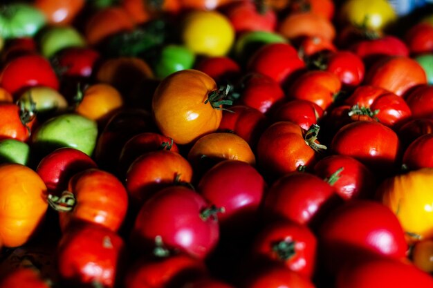 Czerwone smaczne kolorowe pomidory