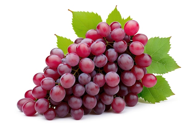 Czerwone winogrona suchej wiązce odizolowywającej na białym tle generatywna ai
