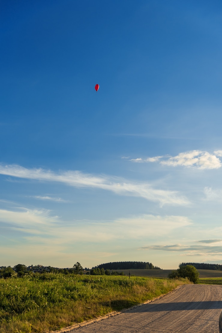 Zdjęcie czerwony balon w kształcie serca na tle krajobrazu