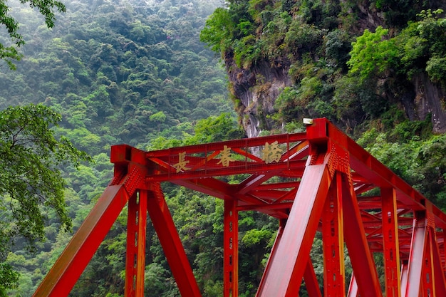 Zdjęcie czerwony drewniany most pośród drzew w lesie