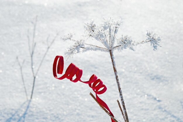 Zdjęcie czerwony element dekoracyjny na śnieżnym polu
