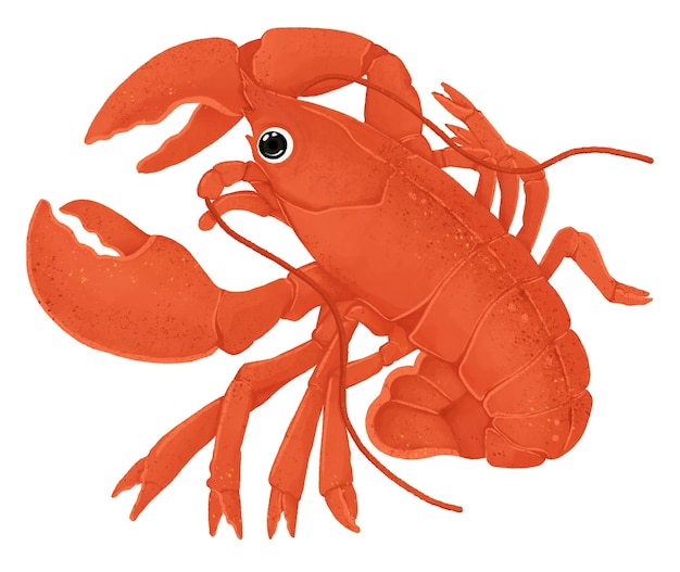 Czerwony homar png naklejka z ilustracją zwierzęcą na przezroczystym tle