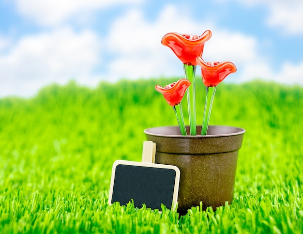Czerwony kwiat robić szkło w brown flowerpot i blackboard na zielonej trawie z niebieskim niebem, wiosna sezon