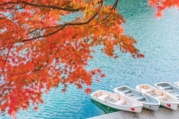 Czerwony liść klonu na Goshikinuma lub Five Coloured Pond. popularne miejsce jesienią w Bandai Highlands w prefekturze Fukushima w Japonii