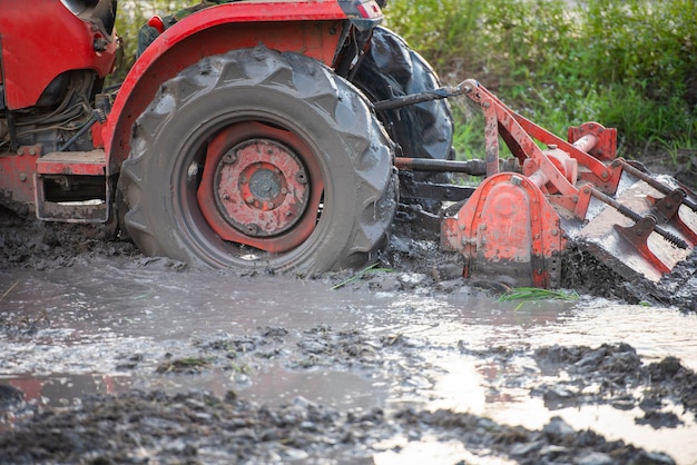 Czerwony Traktor Orka Na Zielonym Polu Ryżowym, Rolnik Na Traktorze Pracuje Orka W Rolnictwie