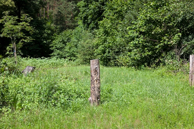 Część starego drewnianego ogrodzenia z drutem kolczastym