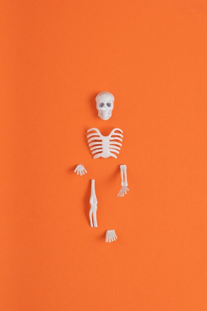 Części szkieletu samodzielnie na pomarańczowym tle Minimalna koncepcja abstrakcyjna Halloween