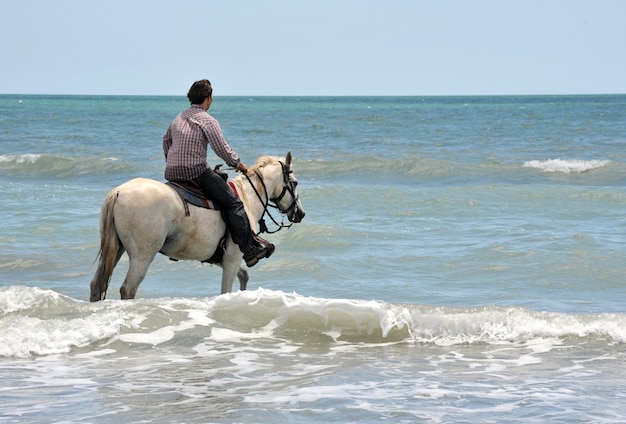 Człowiek i koń w morzu