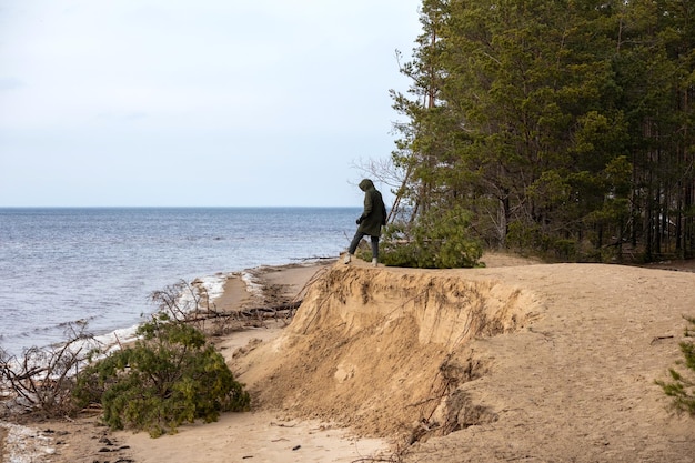 Człowiek idzie wzdłuż krawędzi wydmy na wybrzeżu Morza Bałtyckiego z upadłymi drzewami w wodzie