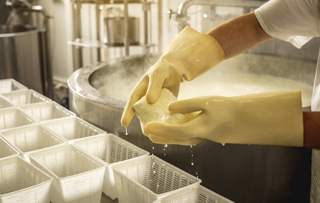 Człowiek jest serowarzem w procesie produkcji różnych odmian sera w branży Produkcja sera mlecznego