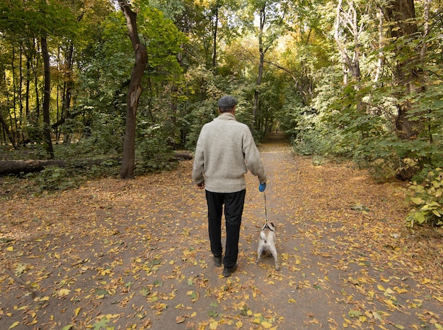 Zdjęcie człowiek w parku pies mops