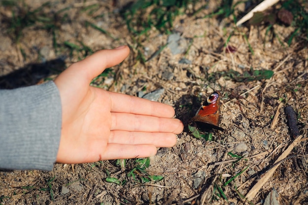 Czuły czerwony motyl w pobliżu ręki dziecka.