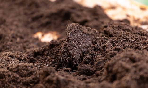 Czysta gleba doniczkowa do uprawy.