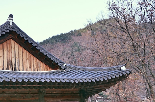 Dach tradycyjnej koreańskiej architektury
