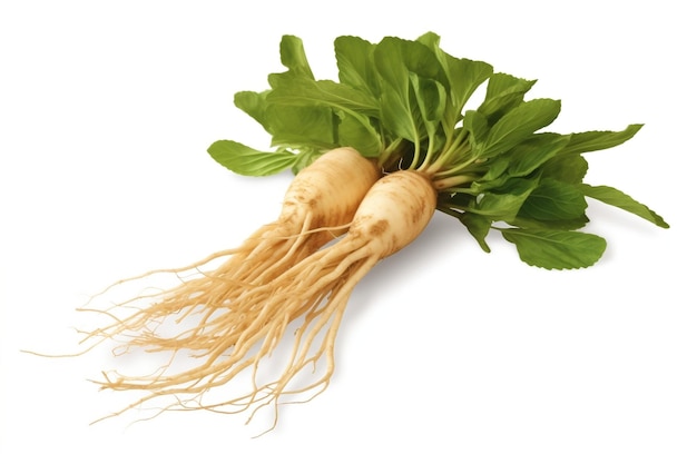 daikon na jasnym, czystym tle