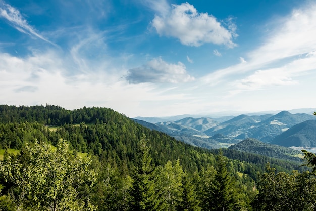 Daleki widok z lotu ptaka na jezioro Zaovine z góry Tara w Serbii