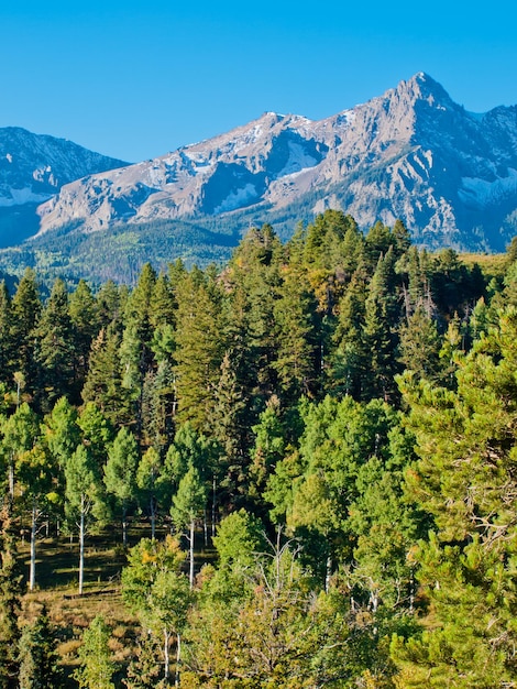 Dallas Divide To Ikona Kolorado, Dobrze Znana Z żywych Jesiennych Kolorów Wytwarzanych Przez Dąb I Osiki.