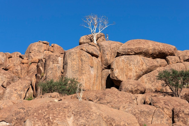 Damaraland Namibia Afryka