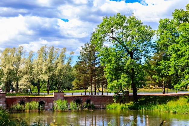 Dambridge w parku Katarzyny w Carskim Siole w Rosji Puszkina