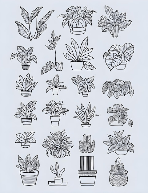 Darmowa grafika wektorowa izolowana roślina domowa z clipartami liści