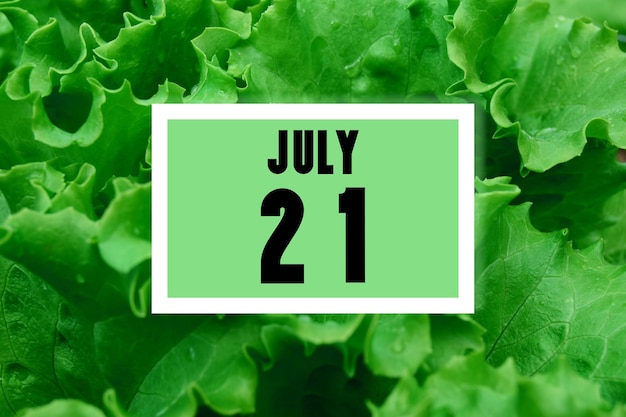 Data kalendarza na tle daty kalendarzowej zielonej sałaty pozostawia 21 lipca dwudziesty pierwszy dzień miesiąca