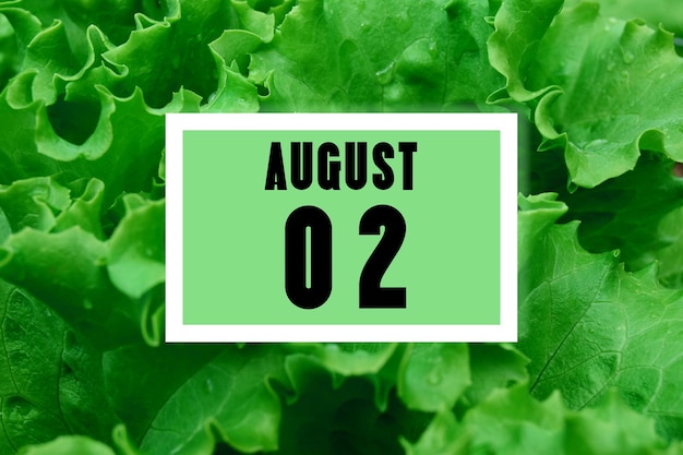 Data W Kalendarzu Data W Kalendarzu Na Tle Zielonych Liści Sałaty 2 Sierpnia To Drugi Dzień Miesiąca