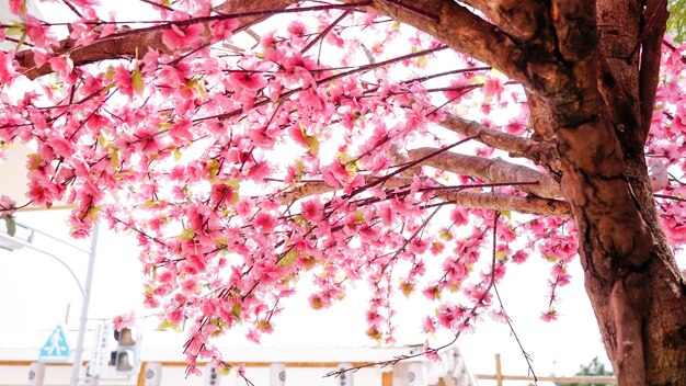 Zdjęcie dekoracja sztuczne plastikowe różowe kwiaty wiśni sakura na tle