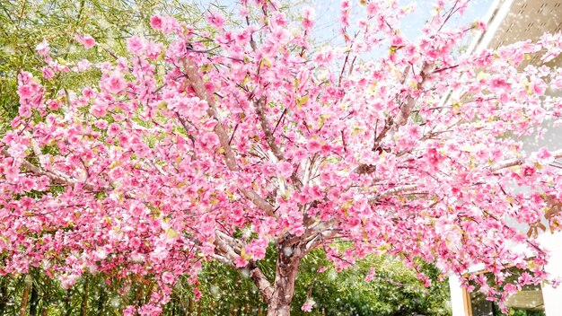 Dekoracja Sztuczne Plastikowe Różowe Kwiaty Wiśni Sakura Z Białym śniegiem Na Tle