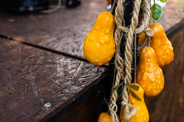 Dekoracje Na Halloween Z Dynią I Innymi Przedmiotami Dekoracyjnymi