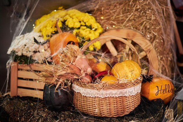 Dekoracje Na Halloween Zdobiona Przestrzeń W Pająki Pajęczyny I Inne Elementy Na Halloween