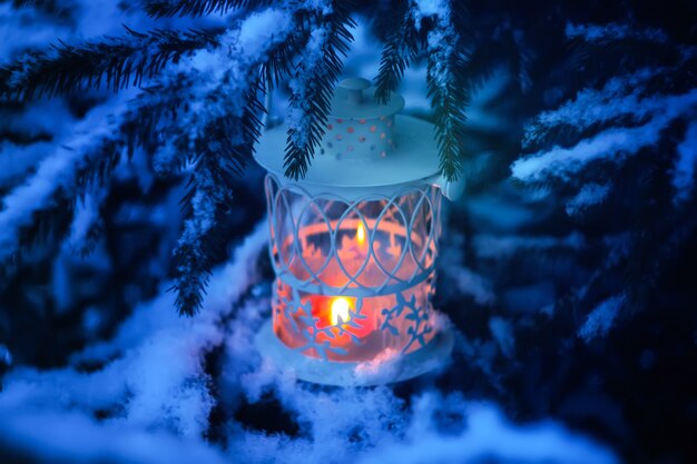 Dekoracyjna latarnia bożonarodzeniowa z płonącą świecą wiszącą na gałęzi pokrytej śniegiem jodły w winter park. Nowy rok świąteczna karta, plakat, projekt pocztówki.