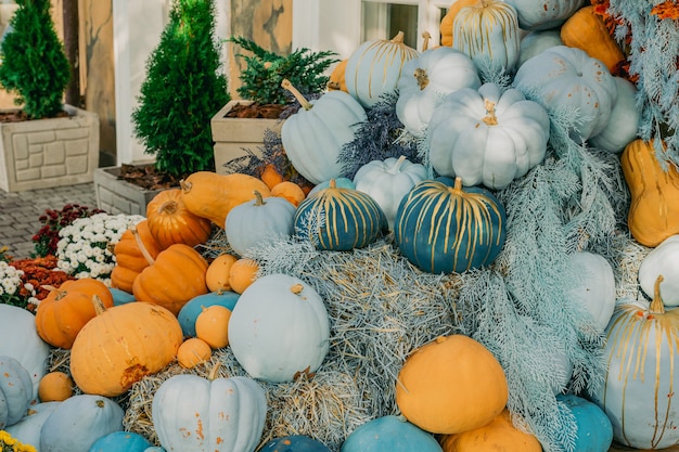 Zdjęcie dekoracyjne niebieskie i pomarańczowe dynie na zewnątrz kwiaty i zewnętrzne dekoracje na halloween na zewnątrz elewacji