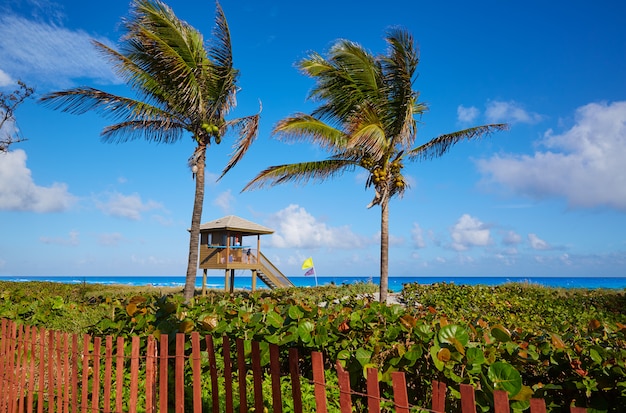 Del Ray Delray plaża Floryda usa