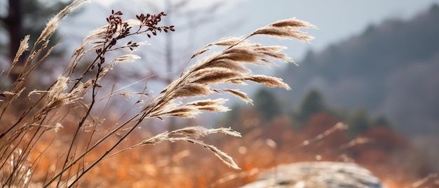 Delikatna bryza górskiego lasu, śnieżne niebo, kołyszące się zimowe rośliny i spokojne gałęzie w spokojnej, naturalnej scenie