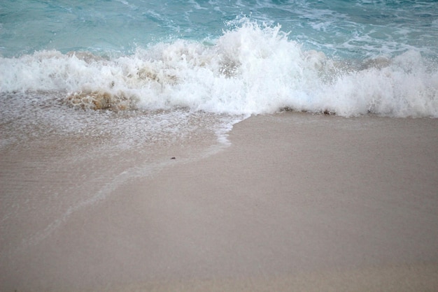 Delikatna niebieska fala oceanu na czystej, piaszczystej plaży?