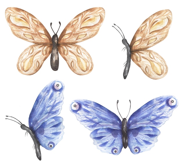 Delikatny beżowy i niebieski motyl zestaw clipart akwarela owady ilustracja Motyle clipart Zaproszenie ślubne Logo projekt Baby Shower karta