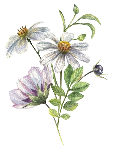 Zdjęcie delikatny bukiet w polne kwiaty, biało-fioletowe odcienie, polne zielenie.