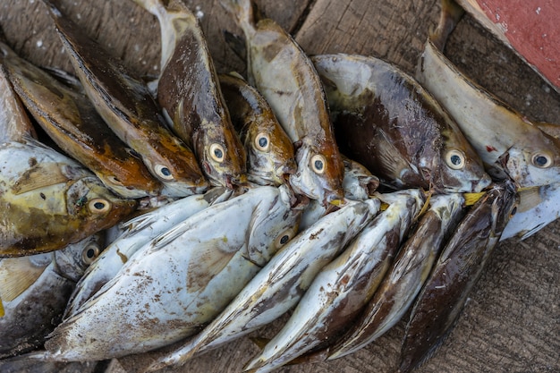 Denna świeża ryba przy ulicznym jedzenie rynkiem Zanzibar wyspa, Tanzania, Afryka. Koncepcja owoców morza. Surowa ryba dla gotować, zamyka up