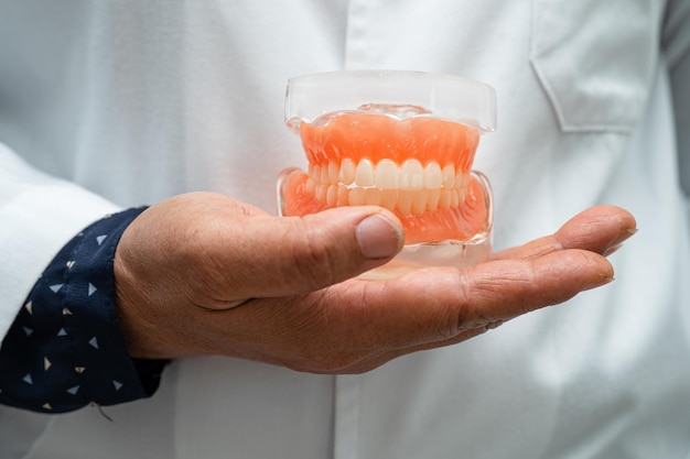 Dentysta dentystyczny trzymający model zębów dentystycznych do badania i leczenia w szpitalu