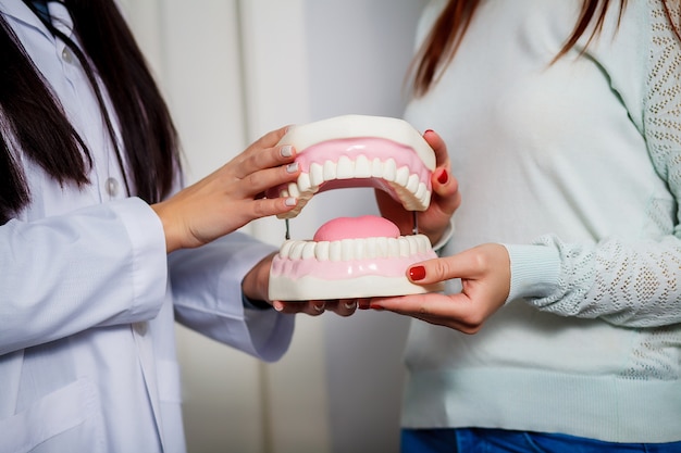 Dentysta i pacjent trzyma model szczęki stomatologicznej. zbliżenie