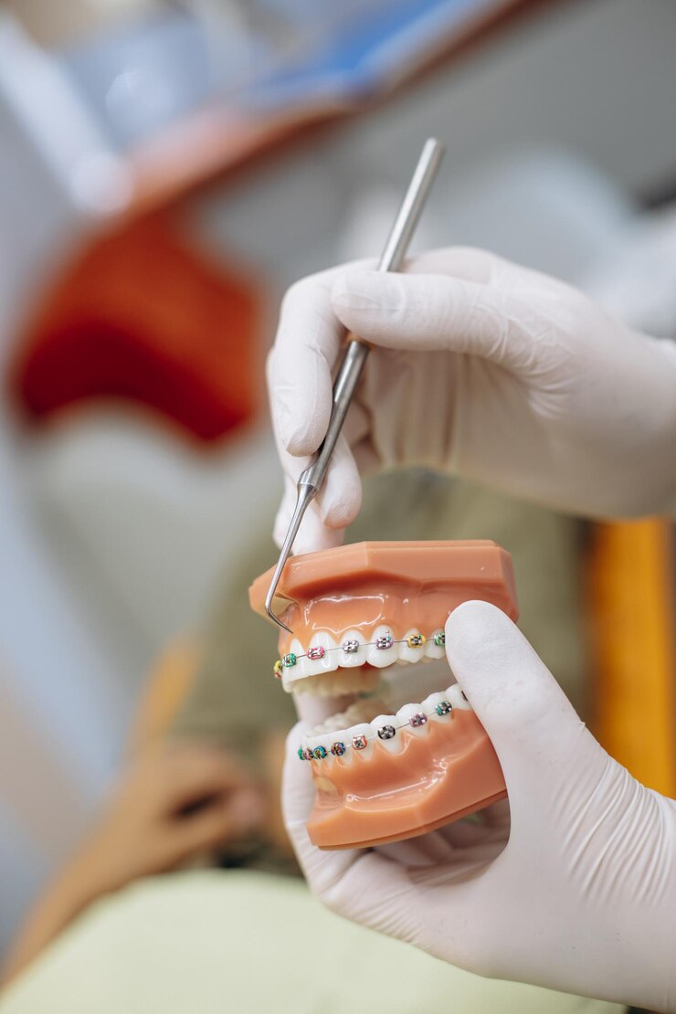 Zdjęcie dentysta pokazujący aparat na sztucznej szczęce