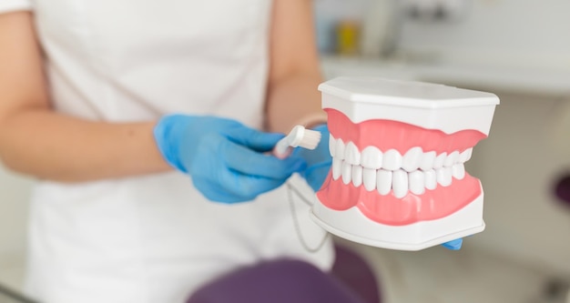 Dentysta z plastikowym modelem szczęki Światowy Dzień Dentysty