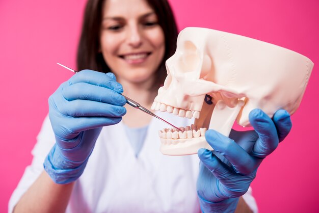 Dentystka bada jamę ustną sztucznej czaszki za pomocą sterylnych narzędzi dentystycznych