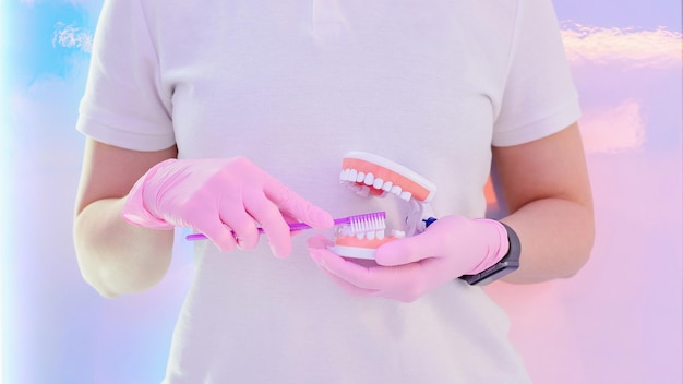 Dentystka pokazująca na modelu sztucznej szczęki, jak prawidłowo czyścić zęby szczoteczką do zębów