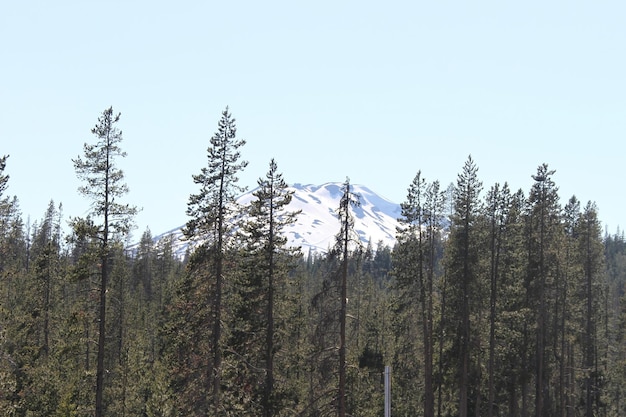 Deschutes Wilderness