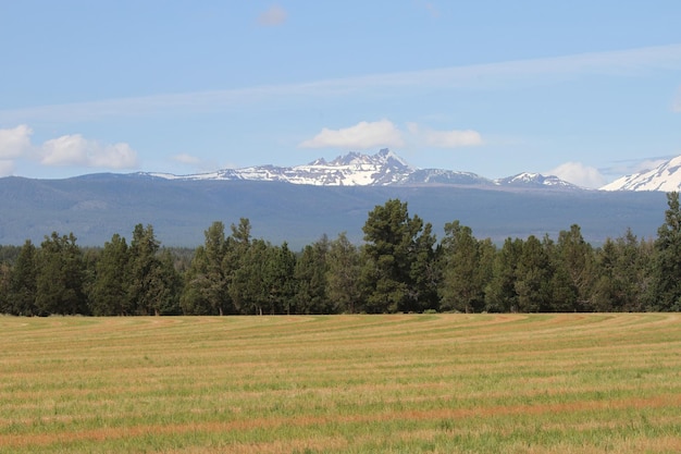 Deschutes Wilderness