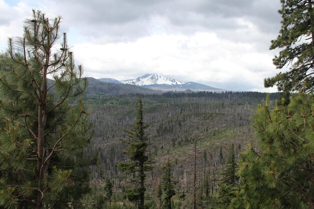 Deschutes Wilderness