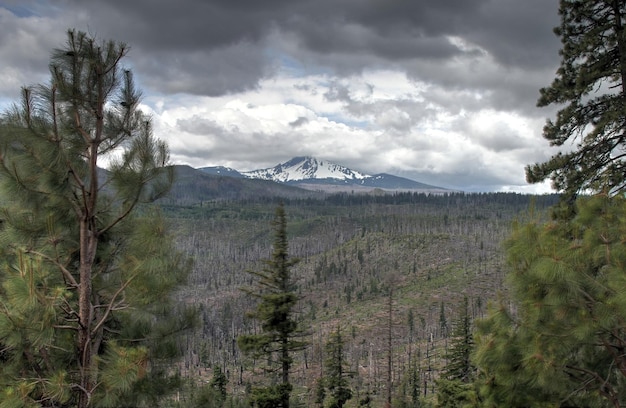 Deschutes Wilderness